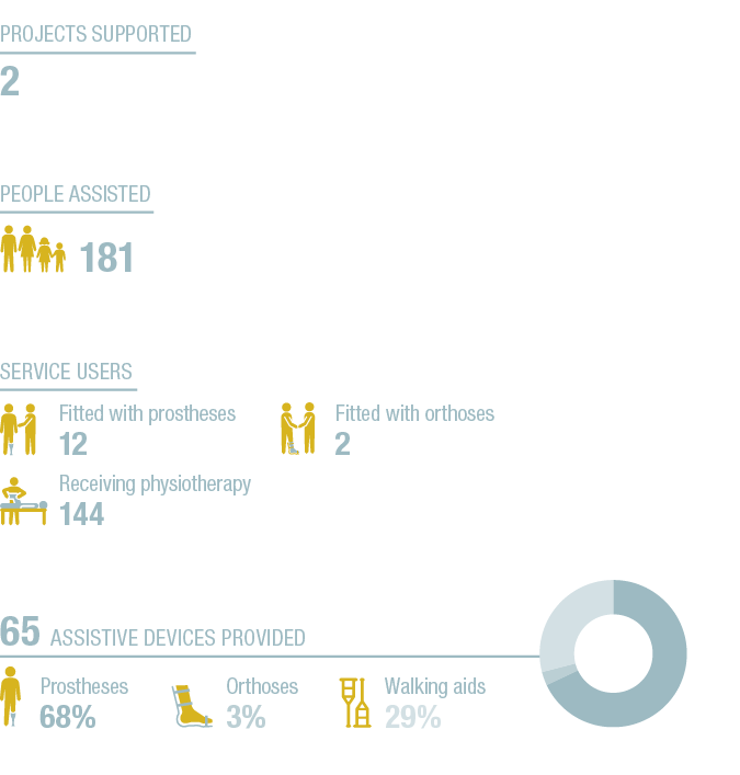 181,People assisted ,Walking aids  29% ,68+3+29+A,65 Assistive devices provided ,Service users ,Prostheses 68% ,Fitte   