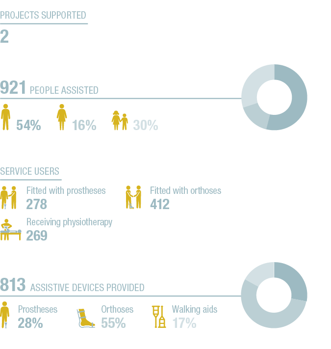 Walking aids  17% ,28+55+17+A,813 Assistive devices provided ,Prostheses 28% ,Orthoses 55% ,54+16+30+A,921 People ass   