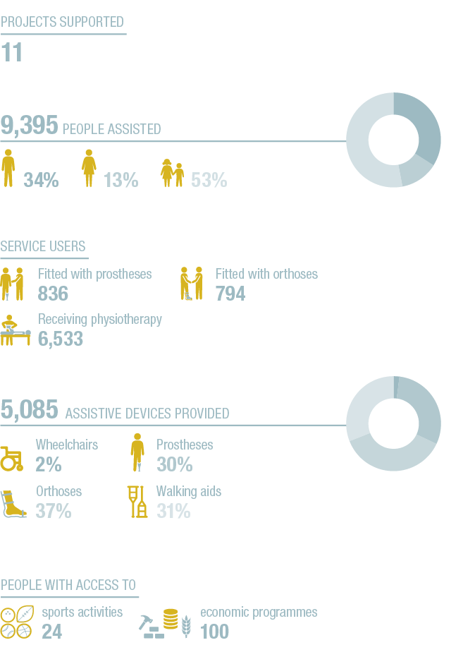 34+13+53+A,2+30+37+31+A,9,395 People assisted ,5,085 Assistive devices provided ,Service users ,13% ,Prostheses 30% ,   