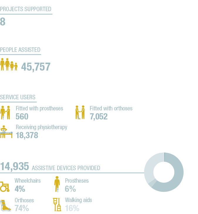 Service users ,Projects supported 8 ,Fitted with orthoses 7,052 ,Receiving physiotherapy 18,378 ,Fitted with prosthes   