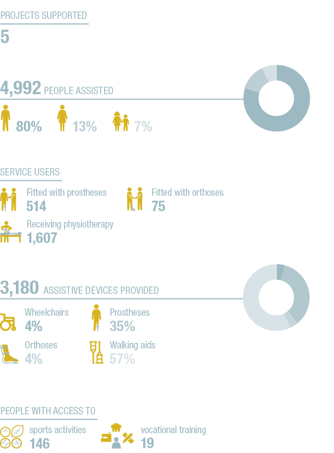 vocational training 19,80+13+7+A,4+35+4+57+A,4,992 People assisted ,3,180 Assistive devices provided ,Service users ,   